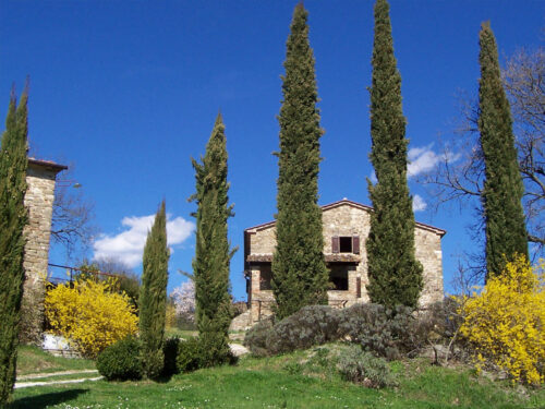 AGRITURISMO IL POGGIO PIEVE SANTO STEFANO